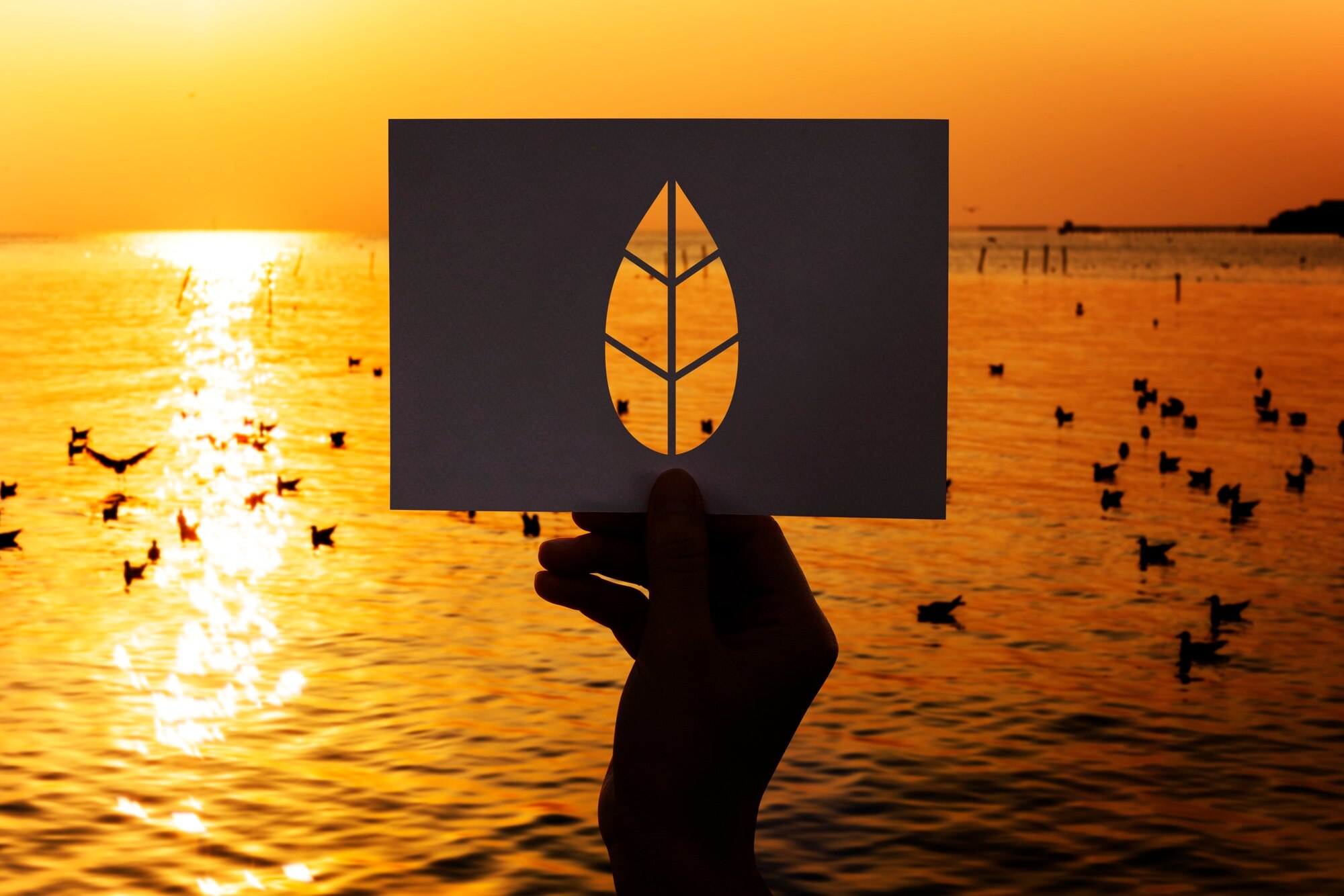 Harnessing the power of nature-based solutions